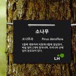 LH수목표찰 걸이형 / 나무이름표 / 수목표찰 / LH수목명패 /추적표찰 / 식물이름표 / 수목이름표 200X150mm : 끌림광고