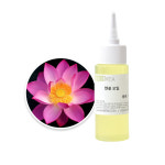 연꽃 인퓨즈드 오일 100ml 천연비누 화장품만들기재료 : 캔들 조아