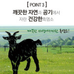 로얄 고함량 흑염소즙 30포 국민 흑염소 진액 엑기스 염소즙 효능 : 빅원더
