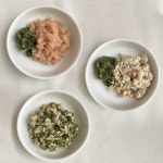베소 베이스믹스(강아지 자연식을 위한 채소와 과일 믹스) 1팩(150g / 15g X 10개입) : 나샘