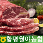 다유다 함평월야농협 1등급 한우 구이용 등심 500g : 다유다