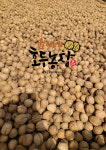 윤이네호두농장 국산호두 2025년 500g 1kg : 윤이네호두농장