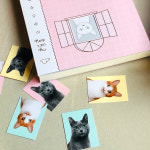 마이 캣츠 다이어리 vol.2 : 링링량량