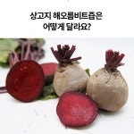 제주산비트즙 해오름비트즙 효능 60포 : 초록별마트