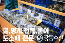 [통영강동수산]10년의 신뢰, 특등급 통영굴, 자연산 굴, 하프셀, 통영굴1kg : 통영강동수산