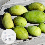 향료 포포나무열매향 PAWPAW FRUIT FLAVOR 30G-80G : 엔아이에프