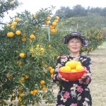 참샘농장 고흥 유자 햇유자 생유자 유자생과 못난이 5kg : 참샘푸드