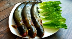 매운탕 메기매운탕 민물매운탕 민물고기 : 고향산천