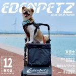 이든페츠 캣 도그 범용 소형 경첩형 리어카 4륜 다기능 트렁크  유모차 : 새롬피싱