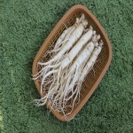 금산인삼 5년근 6년근 삼계세척인삼(700g) : 쌍둥이네인삼