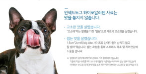 독일 천연원료 사료 인섹트도그 어덜트 10Kg 중형견 이상 큰 알갱이 1.2Kg : 하비펫하우스