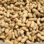 여주 땅콩 피땅콩 생땅콩 1kg : 여주큰집농장