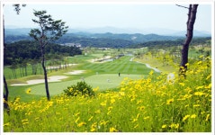 전북 한맥cc 1박2일 골프여행 : 자이언트골프 서울점