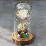 드라이플라워 유리돔 프리저브드 꽃 무드등 여자친구 로즈데이 장미 선물 : 로랑