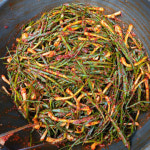 [울산 남구 배달] 맛있게 알싸한맛 파김치 400g [수암 예전두부] : 동네시장 장보기