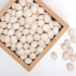 보은 양지촌농원 25년산 피은행 1kg 햇은행 : 참쌀닷컴