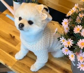 코코트위드 쟈켓 강아지트위드 강아지가디건 : 헤이BAE