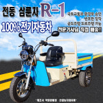 삼륜차 전동삼륜차 전동차 전동운반차 공도주행 도로주행 가능 신일농자재유통 R1 CH모터스 : 신일농자재유통