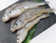 법성포 영광굴비 20미 2kg 선물세트 국내산 밥반찬 집반찬 참조기 맛좋은 굴비구이 : 행복이넘치는상점