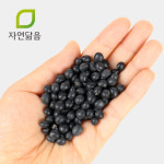 국산 쥐눈이콩 콩나물콩 1kg 약콩 서목태 검은콩 : 자연닮음