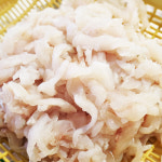 싱싱생선  수가자미 막회 1kg : 행운수산