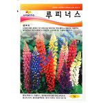 루피너스씨앗 10립 : 제일농약사