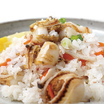 산지직송 제철 통영 비단 홍가리비 1kg 조개구이 : 훈이수산