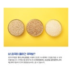 한끼주먹밥 식사대용 햄김치볶음 참치마요 불고기맛 12개 아침 간식 : 한스네