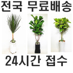 양산꽃가게 : 미래꽃배달 전국꽃배달서비스