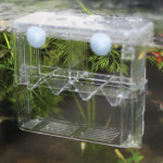 다기능 2단 부화통 베타 사육 어항 물순환 치어격리 : 올펫몰