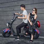 전기오토바이 전동삼륜차 스쿠터 신형 대하레이 전기자동차 2인승 타이어 스노보드차 : 스토어정