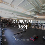 [피트니스비엠/서울중구] 1:1 PT 36회 : 피트니스비엠 광화문점