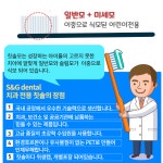 어린이 곰돌이 치과 칫솔 12개입 S&G 에스엔지 24개월 유아 초등학생 두돌아기 칫솔 : 가사도매상점
