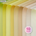 [종이문화] A4 양면 색도화지 디지털OA 100매 혼합 80g : 두루모아