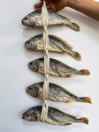 법성포 영광 보리굴비 5미 27cm 이상 명절 선물세트 참조기 마른굴비 집반찬 밥도둑 : 행복이넘치는상점