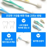 어린이 곰돌이 치과 칫솔 12개입 S&G 에스엔지 24개월 유아 초등학생 두돌아기 칫솔 : 가사도매상점