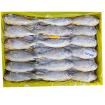 조은상사 냉동 참조기40-42마리 3.6kg 1박스 조기 굴비 : 조은푸드