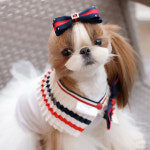 마틸다 /2color/ 리본 삔 [주문제작 핸드메이드 강아지핀 강아지악세사리] : MAMAN DOG