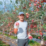 껍질째먹는 거창 홍로 사과 5kg : 도레미푸드
