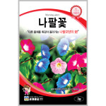 나팔꽃 3g / 씨앗 종자 꽃씨 꽃밭만들기 화단만들기 조경가꾸기 : 초록스타