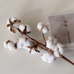 10송이 목화꽃 가지 조화 크리스마스 인테리어 겨울꽃 : 영이오브제
