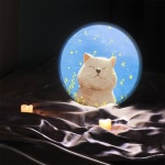 nd350-LED액자35R 행복한냥이 : 원츄