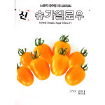 신슈가옐로우토씨앗 1000립 24년 : 제일농약사