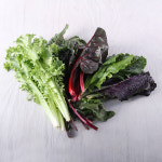 [서울 전지역 배달] 혼합 쌈채소 500g(종류 랜덤) [가락 나무숲] : 동네시장 장보기