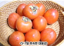 천리 대봉감 4KG 14-18과 서천 홍시 : 한입두잇