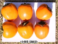 천리 대봉감 4KG 14-18과 서천 홍시 : 한입두잇
