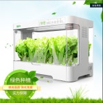 스마트팜 가정용 식물 야채 재배기 : 누림의 미학