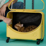 펍 스마일 장거리 고양이 크레이트 애견 반려견 소형견 강아지 이동장 켄넬 캐리어 : 코코도도
