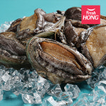 특전복 특대전복 대전복 6, 7미 외 특사이즈 전복, 완도참전복 선별 직판 : 프레시홍