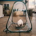 길고양이 집 바람막이 길냥이집 방수 방풍 하우스 급식소 : 하다라이프